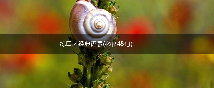练口才经典语录(必备45句),第1张