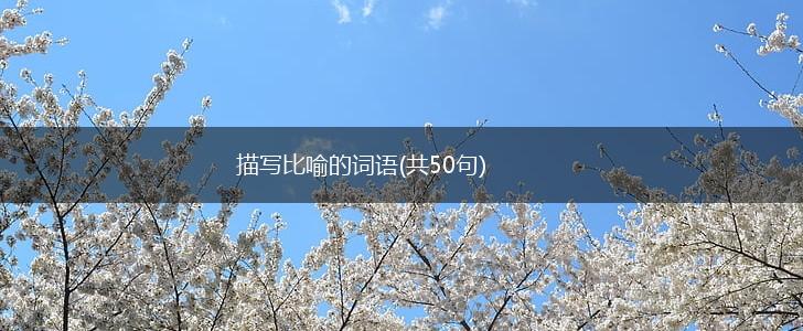 描写比喻的词语(共50句),第1张