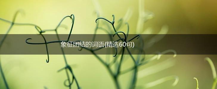 象征团结的词语(精选60句),第1张