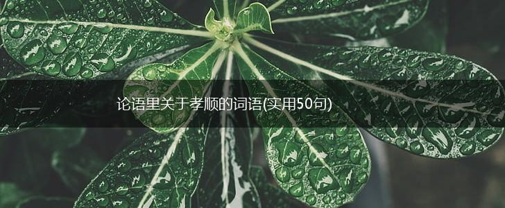 论语里关于孝顺的词语(实用50句),第1张