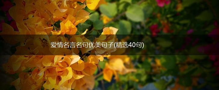 爱情名言名句优美句子(精选40句),第1张 爱情名言名句优美句子(精选40句),第1张