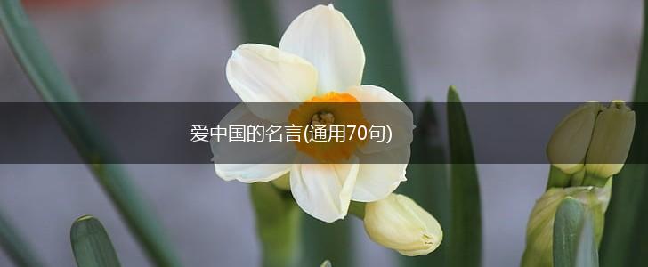 爱中国的名言(通用70句),第1张