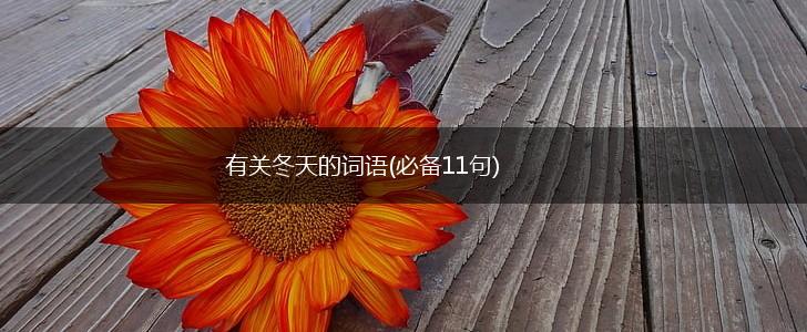 有关冬天的词语(必备11句),第1张