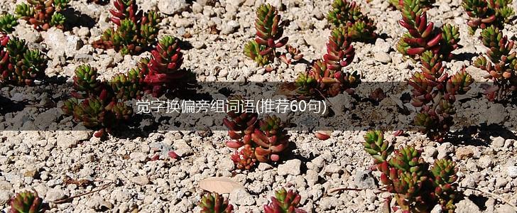 觉字换偏旁组词语(推荐60句),第1张