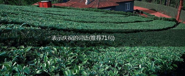 表示庆祝的词语(推荐71句),第1张 表示庆祝的词语(推荐71句),第1张