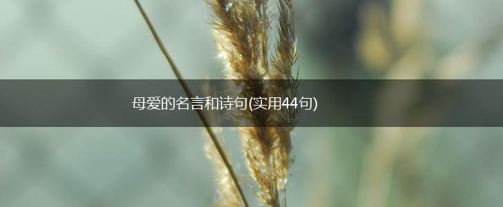 母爱的名言和诗句(实用44句),第1张 母爱的名言和诗句(实用44句),第1张