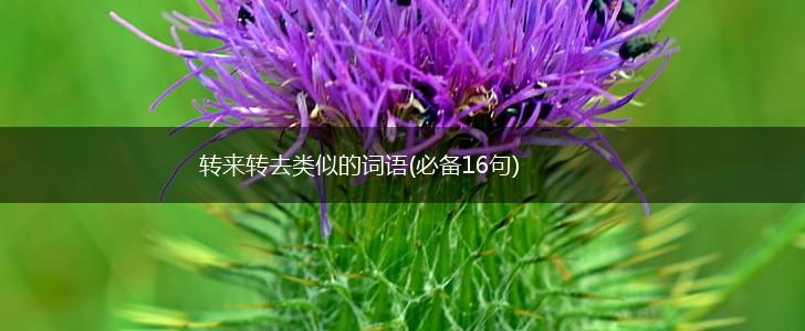 转来转去类似的词语(必备16句),第1张