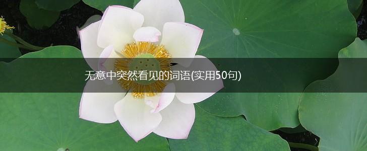 无意中突然看见的词语(实用50句),第1张