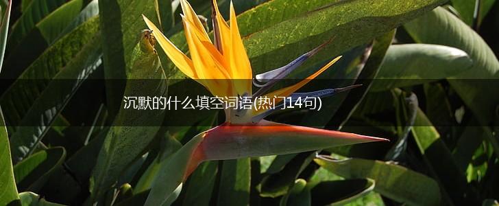 沉默的什么填空词语(热门14句),第1张