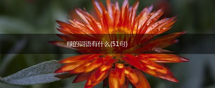 绿的词语有什么(51句),第1张