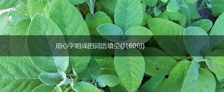 用心字组成的词语填空(共60句),第1张