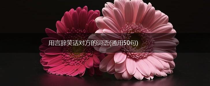 用言辞笑话对方的词语(通用50句),第1张