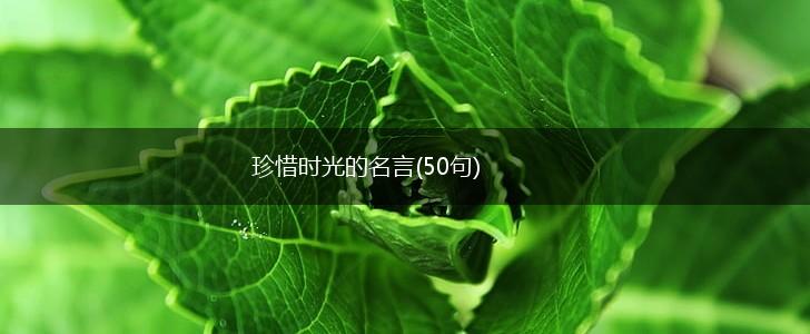 珍惜时光的名言(50句),第1张