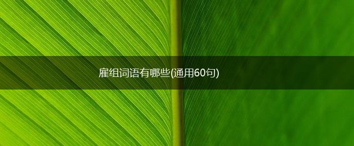 雇组词语有哪些(通用60句),第1张