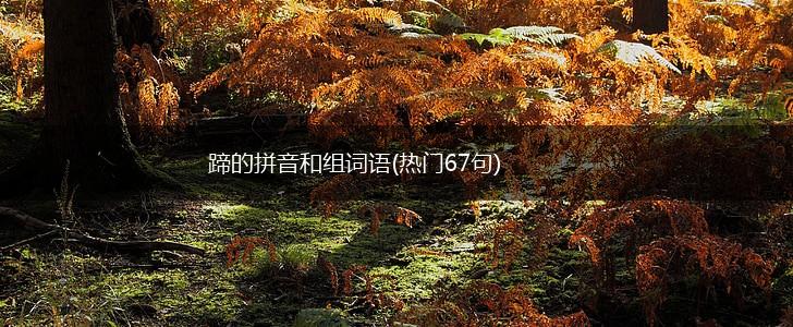 蹄的拼音和组词语(热门67句),第1张