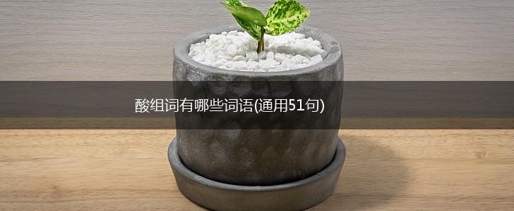 酸组词有哪些词语(通用51句),第1张