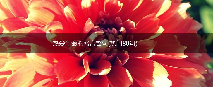 热爱生命的名言警句(热门80句),第1张 热爱生命的名言警句(热门80句),第1张