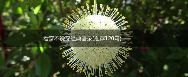 看穿不说穿经典语录(推荐120句),第1张