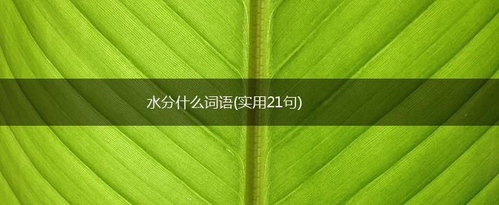 水分什么词语(实用21句),第1张