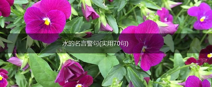 水的名言警句(实用70句),第1张 水的名言警句(实用70句),第1张