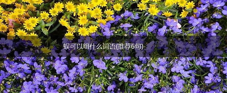 蜈可以组什么词语(推荐6句),第1张