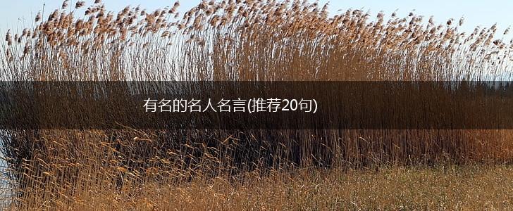 有名的名人名言(推荐20句),第1张