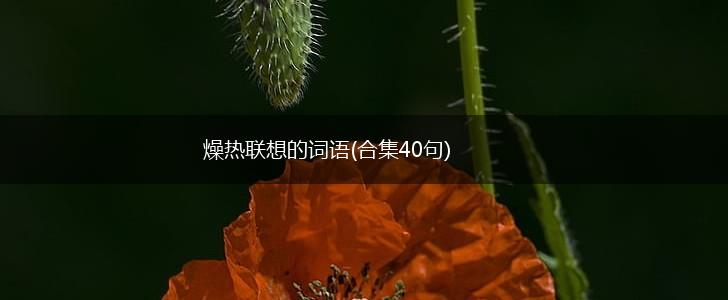 燥热联想的词语(合集40句),第1张