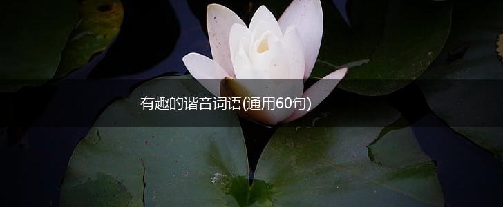 有趣的谐音词语(通用60句),第1张