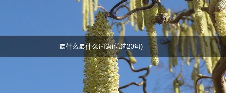 最什么最什么词语(优选20句),第1张