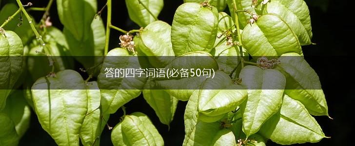 答的四字词语(必备50句),第1张