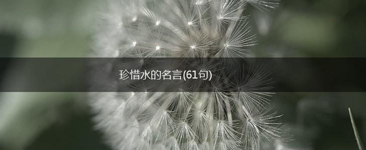 珍惜水的名言(61句),第1张 珍惜水的名言(61句),第1张