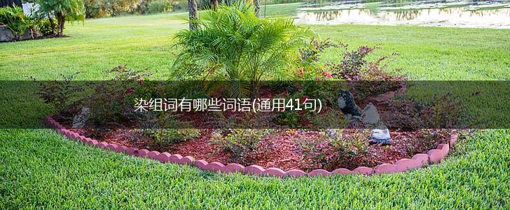 染组词有哪些词语(通用41句),第1张