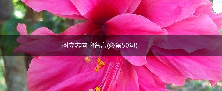 树立志向的名言(必备50句),第1张