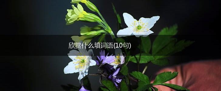 欣赏什么填词语(10句),第1张