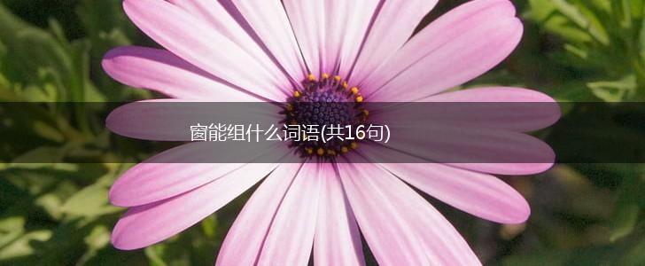 窗能组什么词语(共16句),第1张