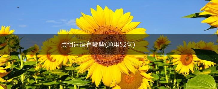 贞组词语有哪些(通用52句),第1张