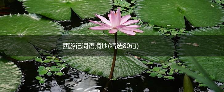 西游记词语摘抄(精选80句),第1张