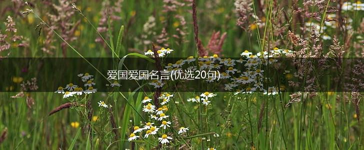 爱国爱国名言(优选20句),第1张 爱国爱国名言(优选20句),第1张