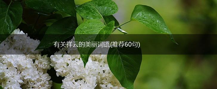 有关祥云的美丽词语(推荐60句),第1张