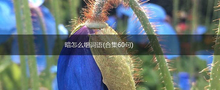 暗怎么组词语(合集60句),第1张