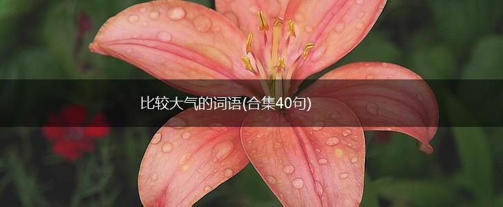 比较大气的词语(合集40句),第1张