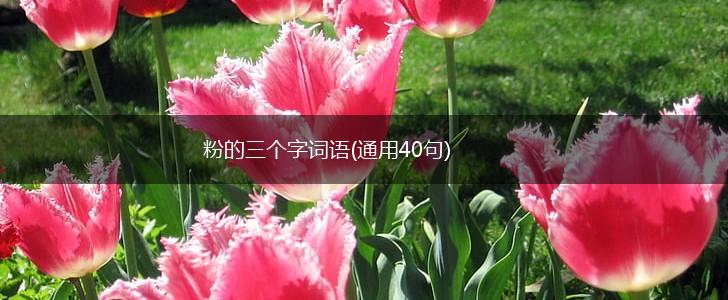 粉的三个字词语(通用40句),第1张