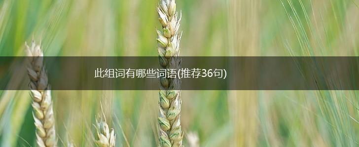 此组词有哪些词语(推荐36句),第1张