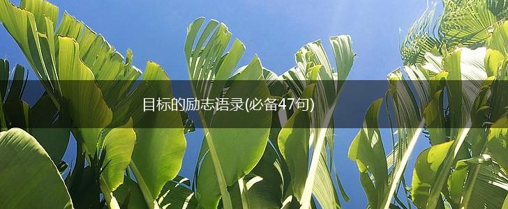 目标的励志语录(必备47句),第1张