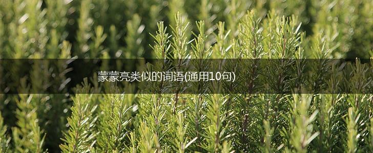 蒙蒙亮类似的词语(通用10句),第1张 蒙蒙亮类似的词语(通用10句),第1张