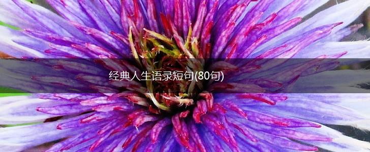 经典人生语录短句(80句),第1张