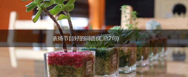 表扬节目好的词语(汇总7句),第1张 表扬节目好的词语(汇总7句),第1张