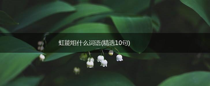 虹能组什么词语(精选10句),第1张