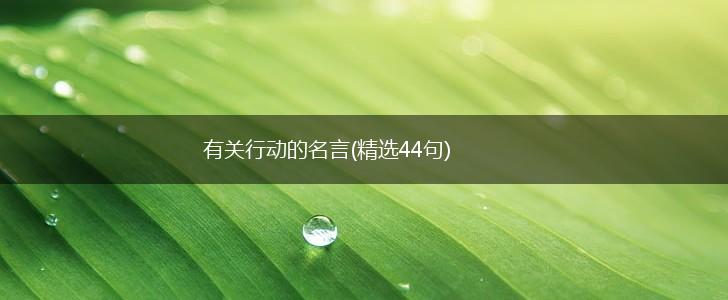 有关行动的名言(精选44句),第1张