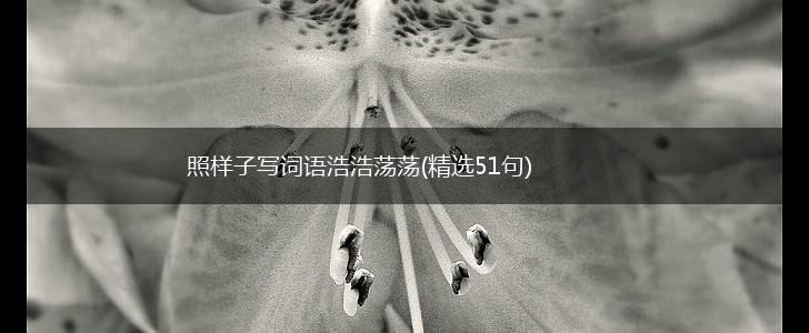 照样子写词语浩浩荡荡(精选51句),第1张